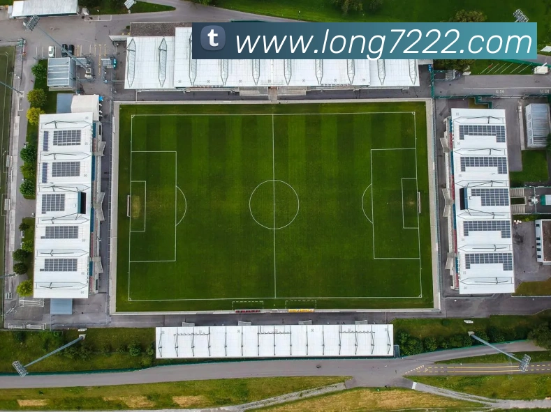 龙8-long8(国际)官方网站APP 高清赛事图